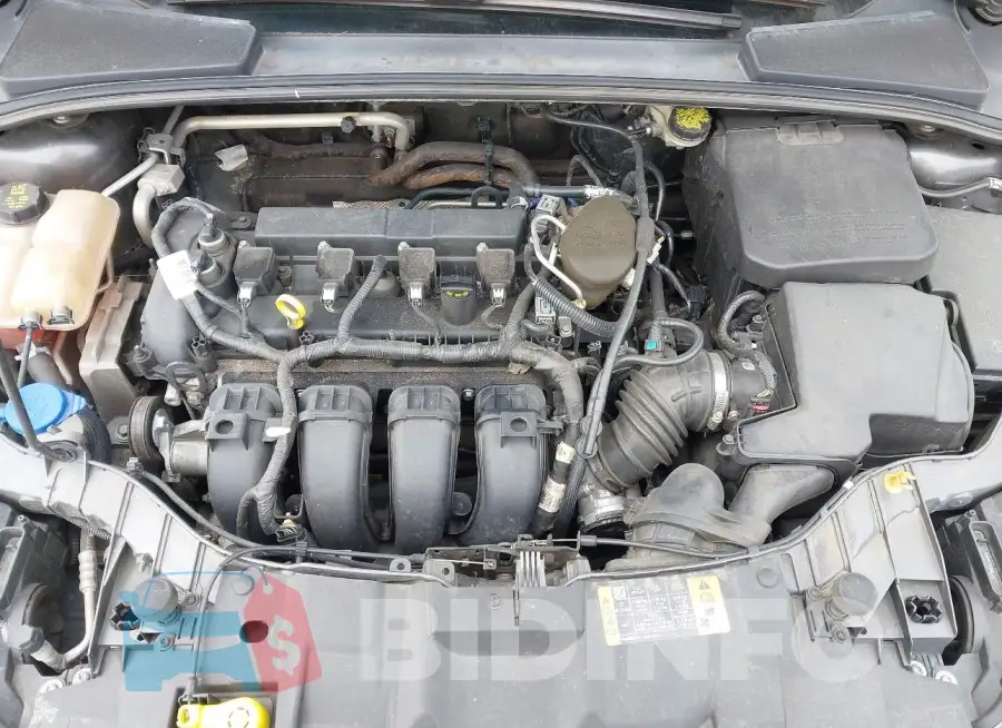 1FADP3E21GL249480 Photo# 10
