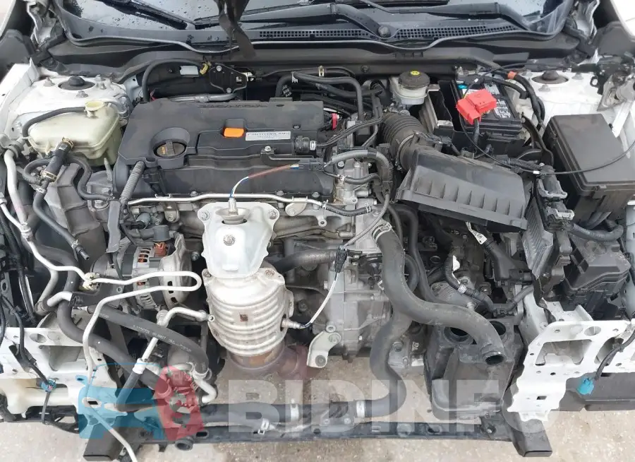 19XFC2F56GE013871 Photo# 10