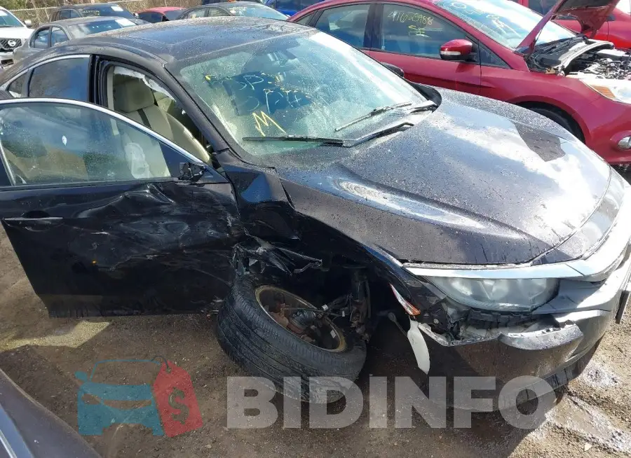 19XFC2F7XGE003944 Photo# 6