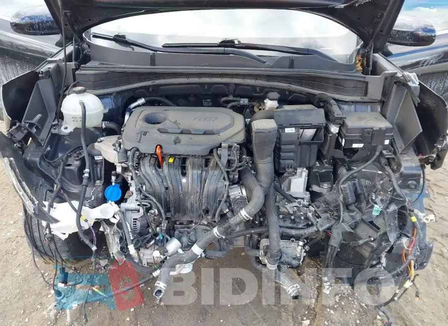 KNDPM3AC6M7845686 Photo# 10