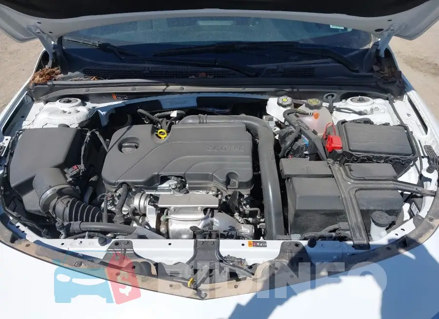 1G1ZD5ST9RF184244 Photo# 10