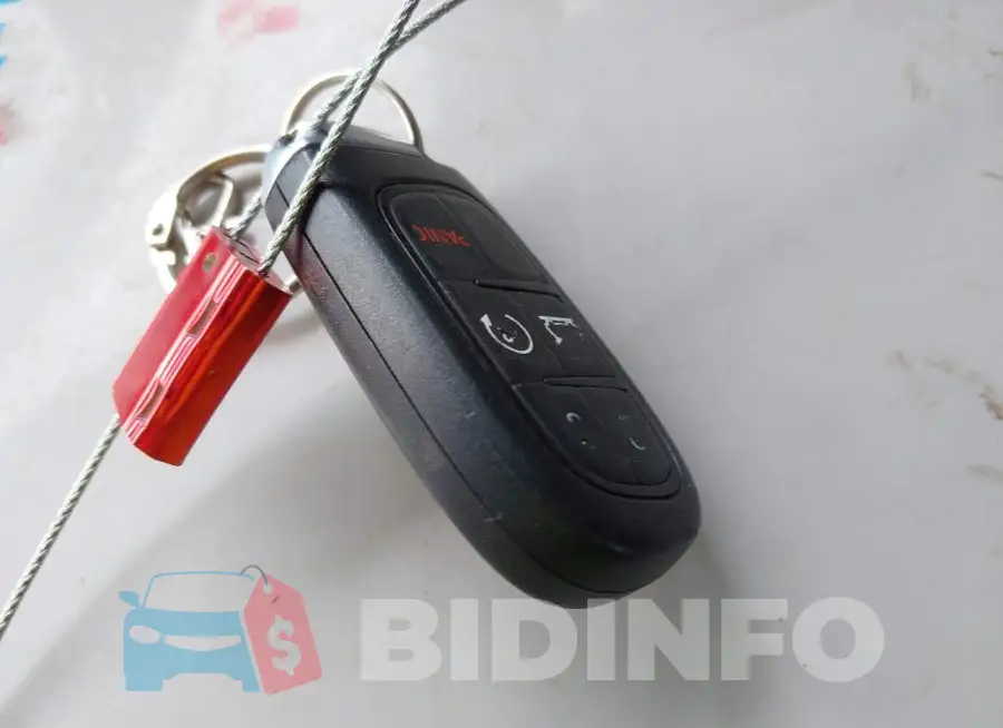 1C4PJLDX2MD187065 Photo# 11