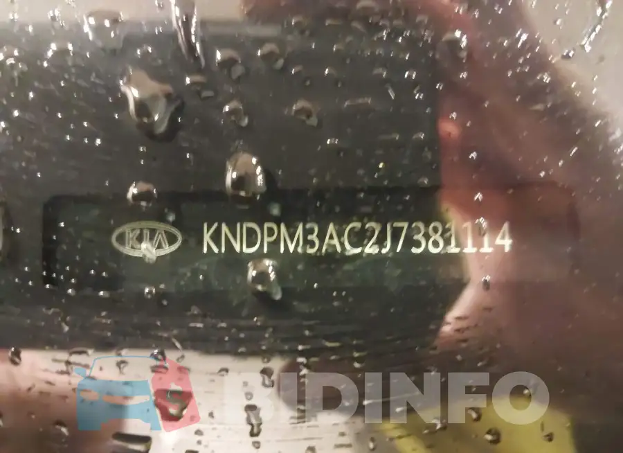 KNDPM3AC2J7381114 Photo# 9
