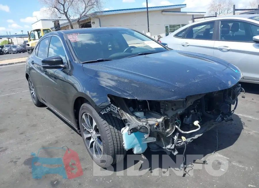 19UUB1F36FA011026 Photo# 1