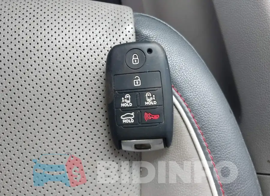 KNDMC5C14F6019067 Photo# 11