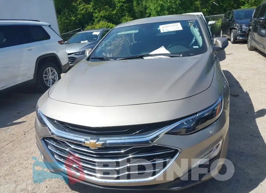 1G1ZD5ST7SF117955 Photo# 12