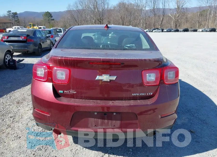 1G11F5SL5FF281167 Photo# 17