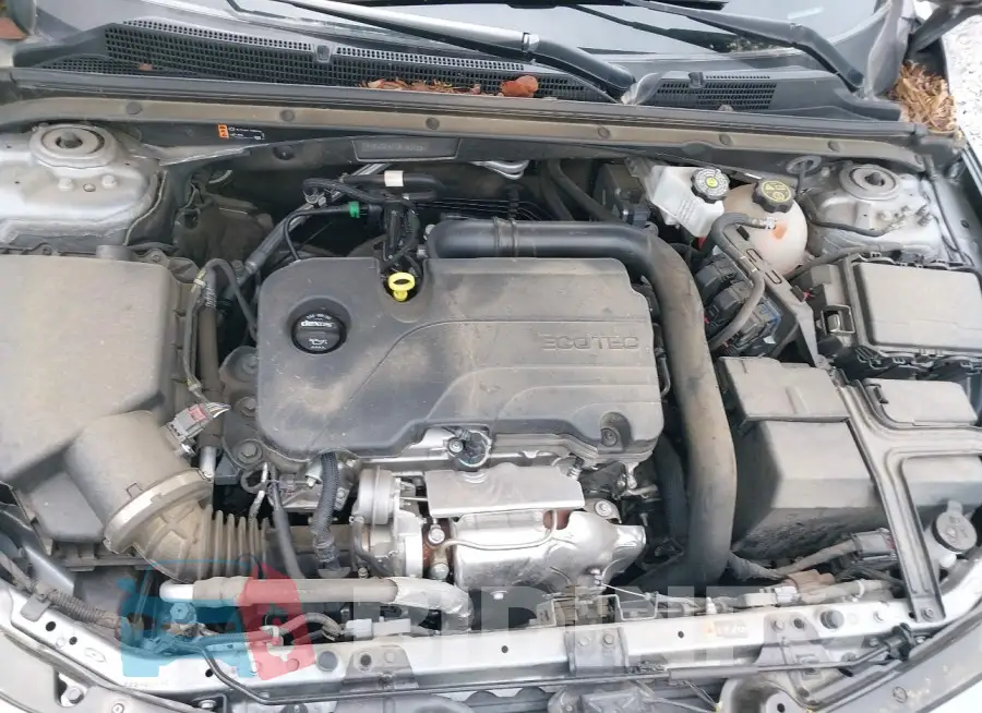 1G1ZD5ST1RF153733 Photo# 10
