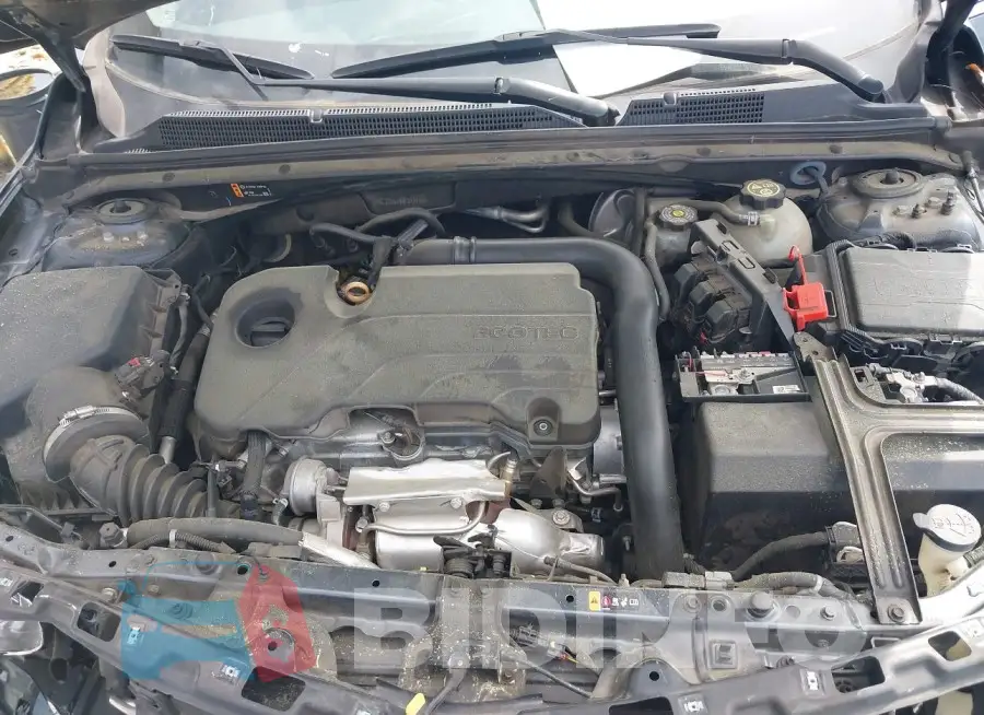 1G1ZD5ST8MF073175 Photo# 10