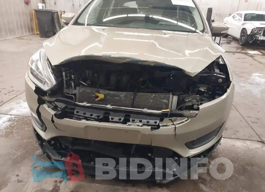 1FADP3F24FL255965 Photo# 6