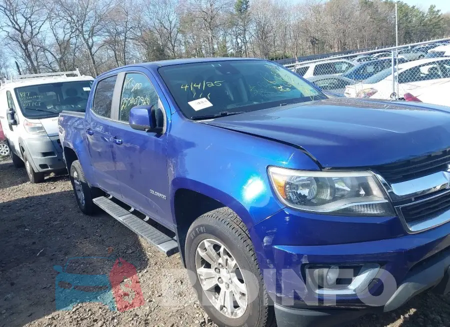 1GCGTCE33G1365254 Photo# 12