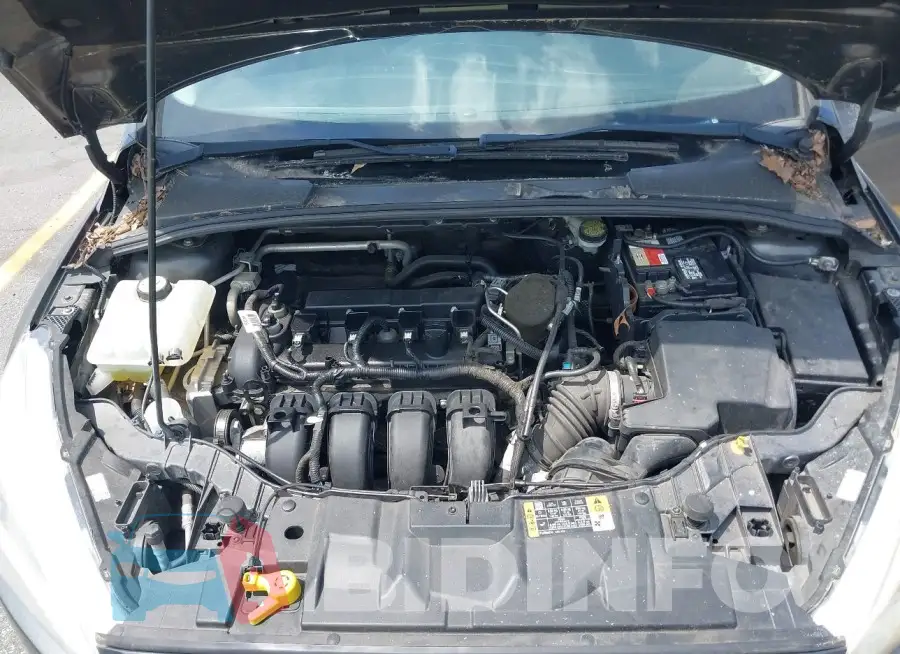 1FADP3F26GL207417 Photo# 10