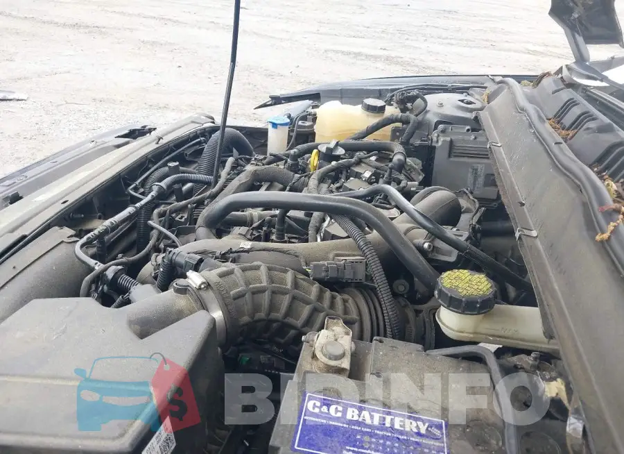3FA6P0HD3GR360523 Photo# 10
