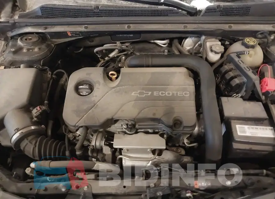 1G1ZB5ST6HF268946 Photo# 10