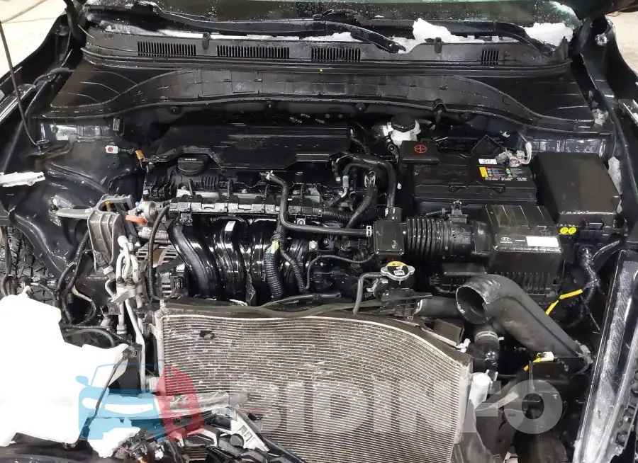 KM8K2CAB1PU947924 Photo# 10