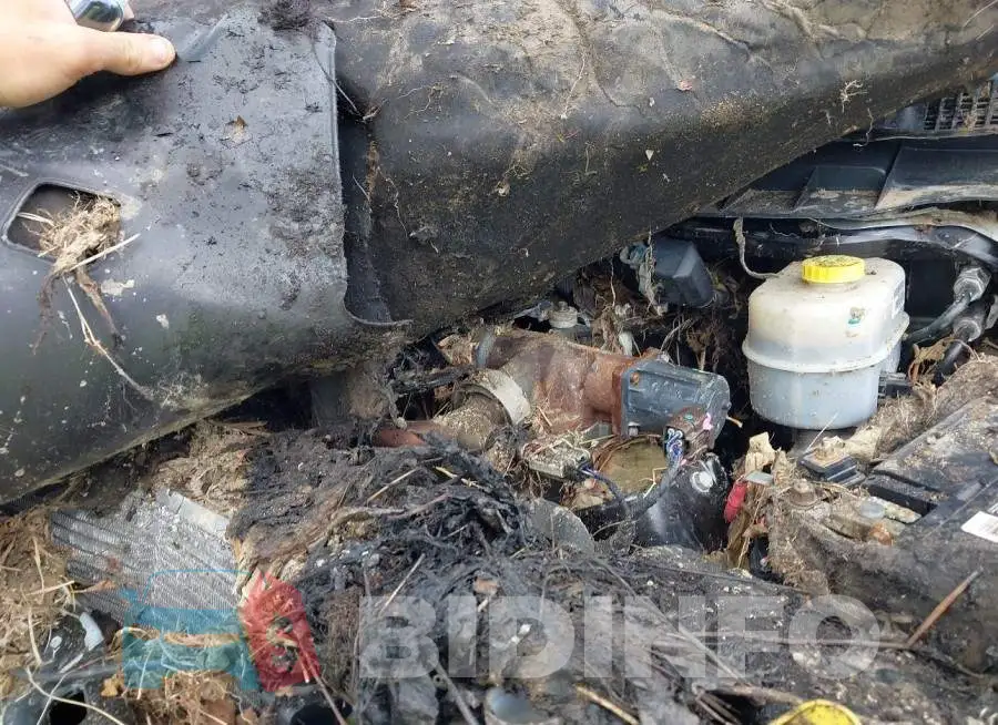 3C6UR5CL7FG505135 Photo# 10