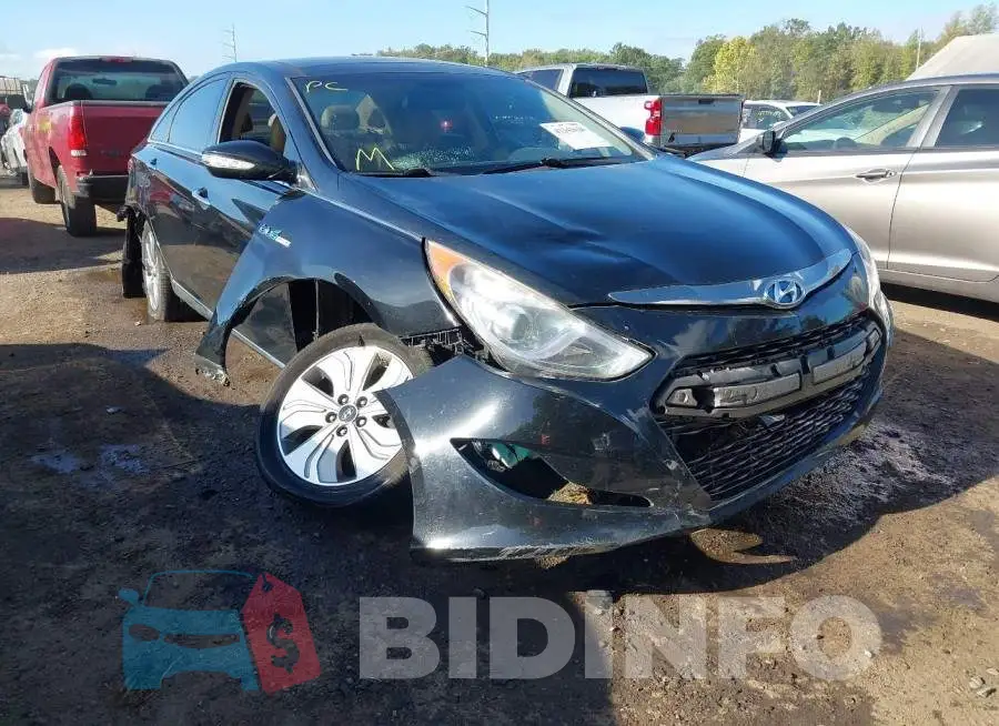 KMHEC4A44FA136510 Photo# 6