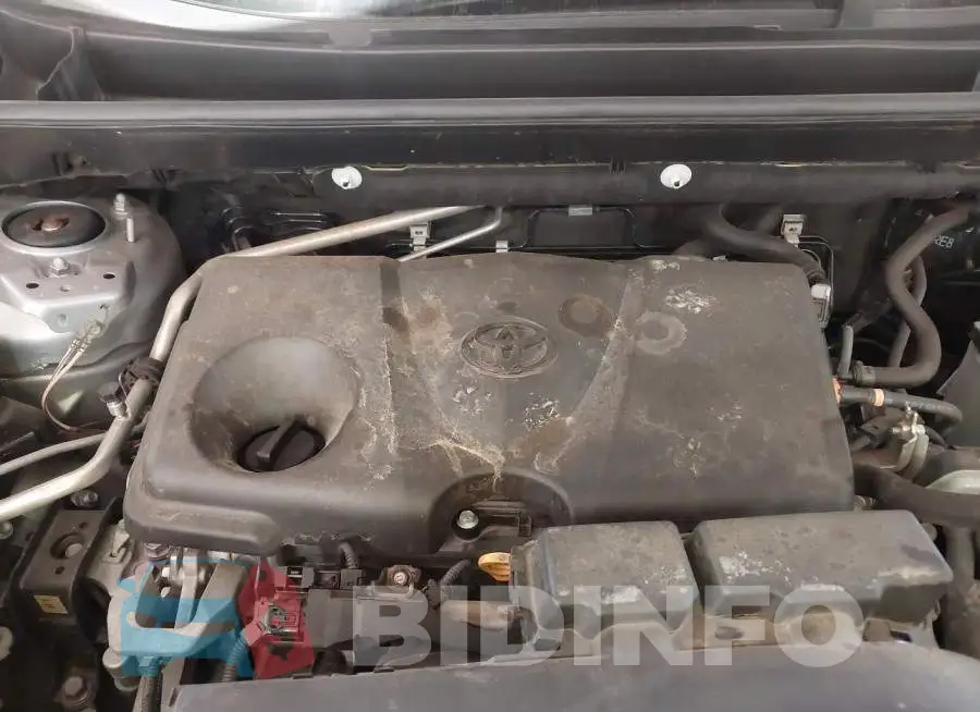 JTMW1RFV3KD024805 Photo# 10