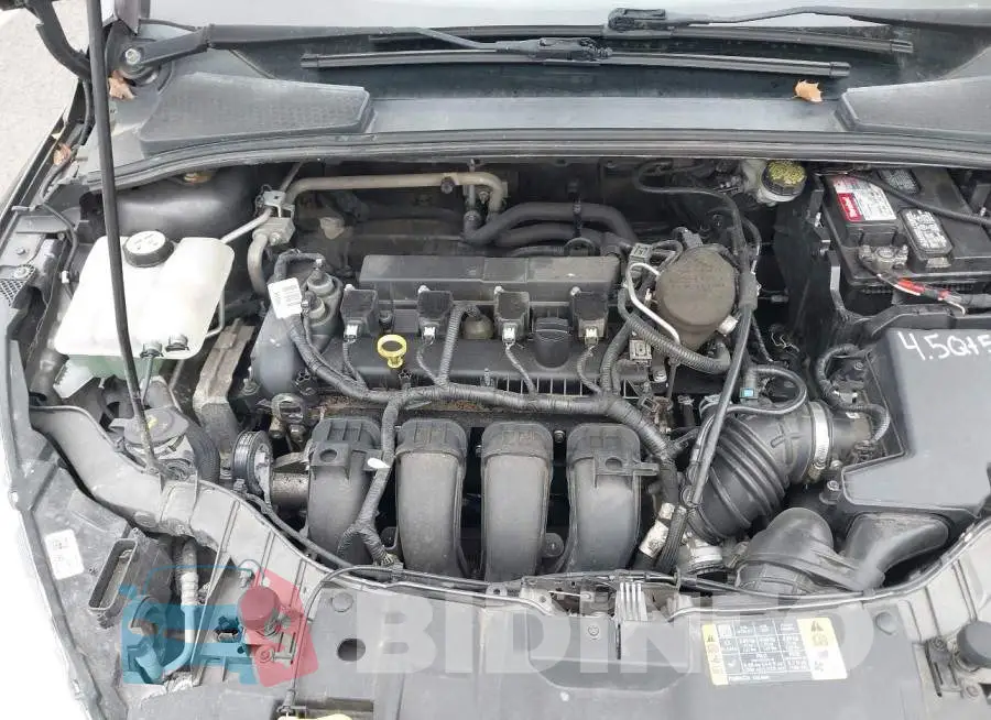 1FADP3F24FL230886 Photo# 10