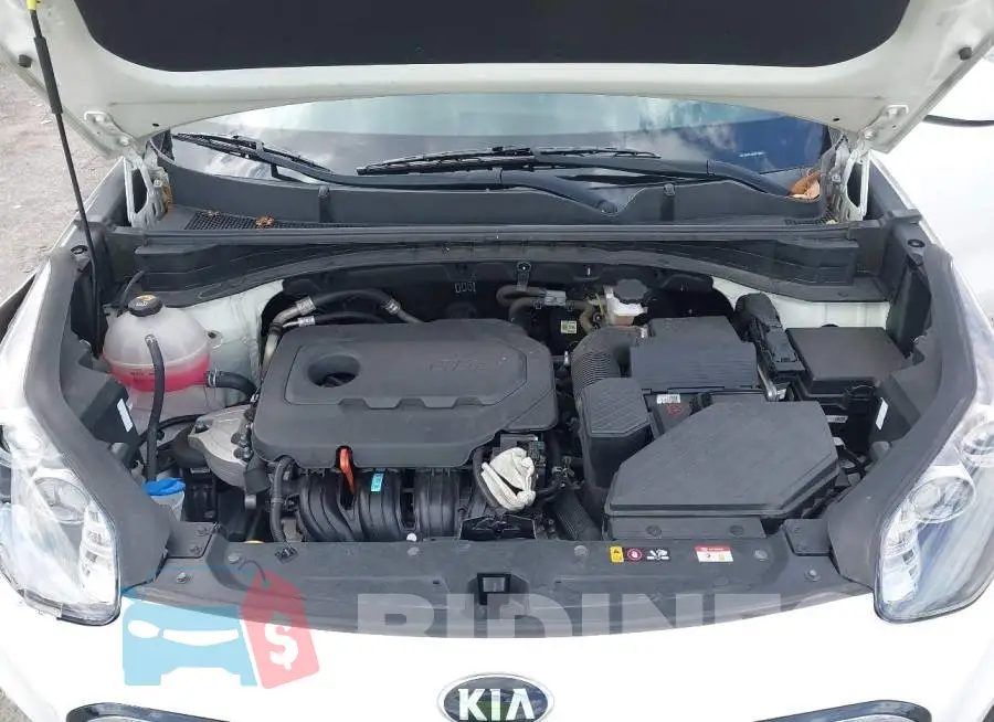 KNDPM3AC8M7937656 Photo# 10