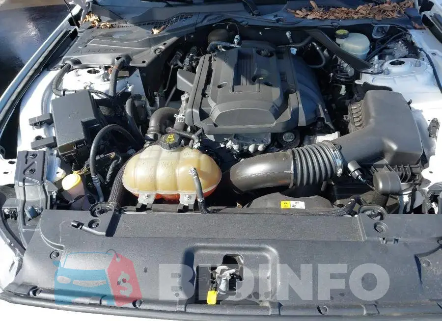 1FATP8UH5G5319064 Photo# 10