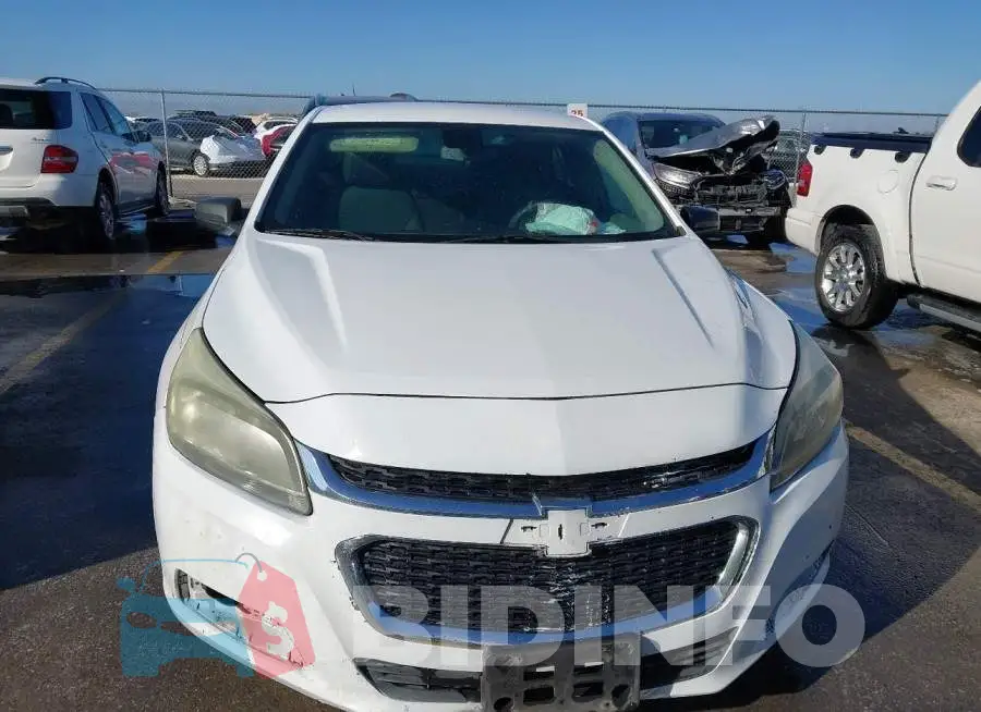 1G11B5SL4FF137704 Photo# 6