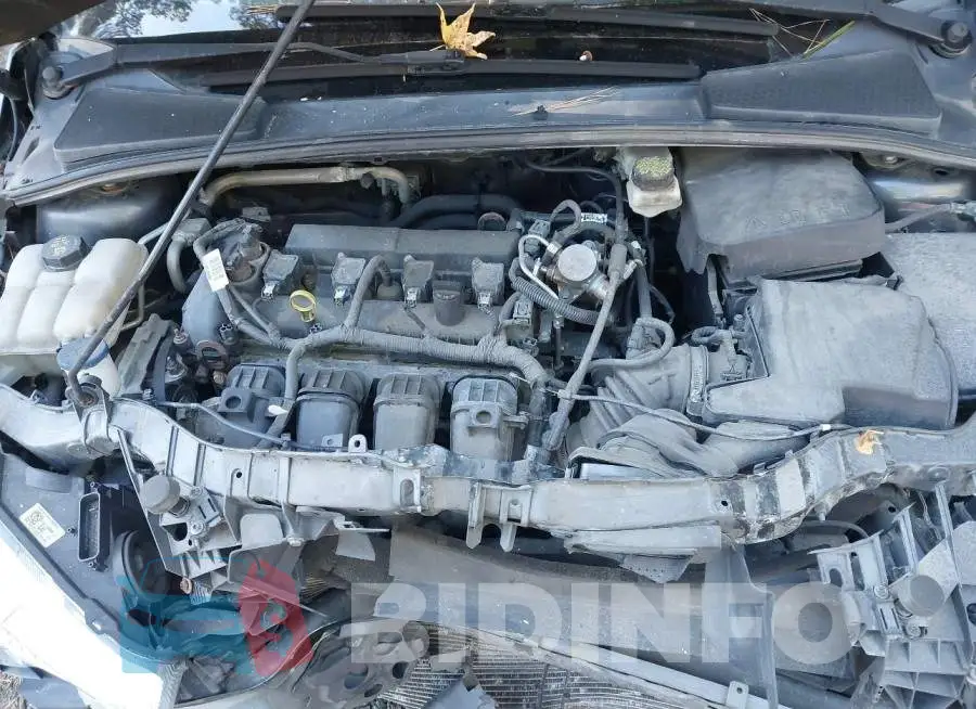 1FADP3E23HL256853 Photo# 10