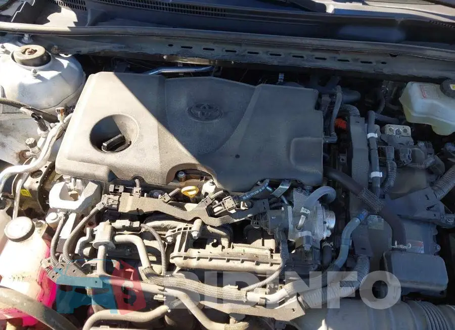 4T1C31AK6PU600899 Photo# 10