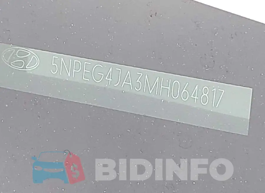 5NPEG4JA3MH064817 Photo# 18