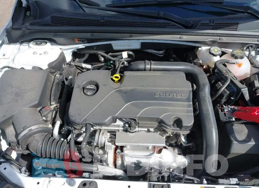 1G1ZD5ST7RF194237 Photo# 10