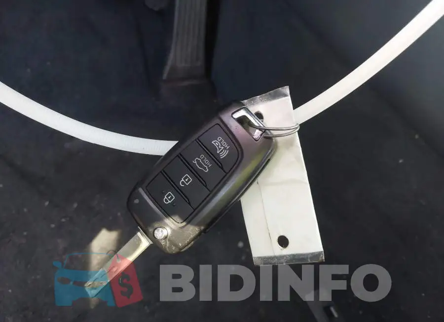 5NPEG4JA5MH117100 Photo# 11
