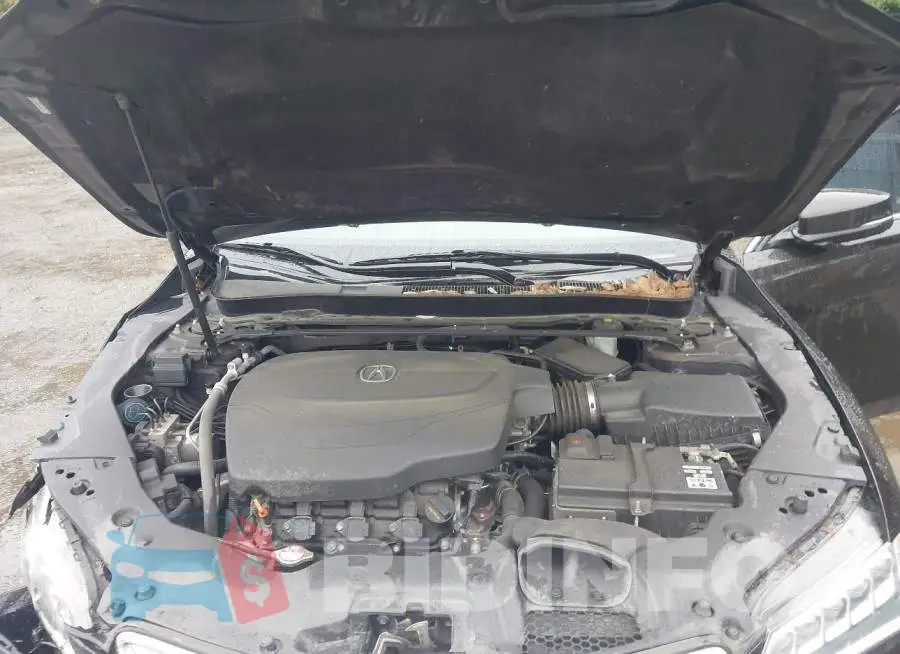 19UUB2F55GA011687 Photo# 10
