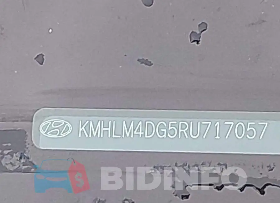 KMHLM4DG5RU717057 Photo# 9