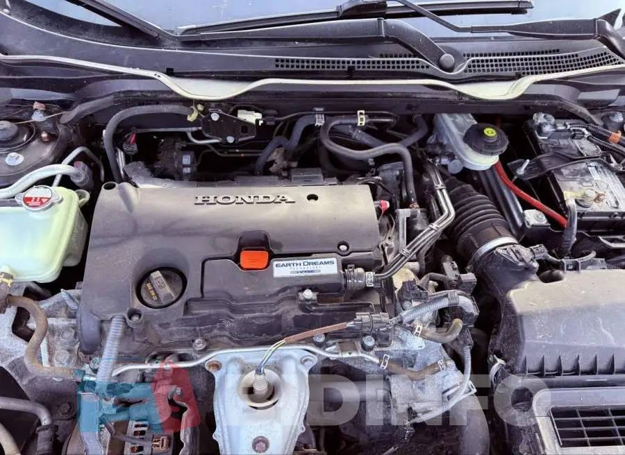 2HGFC2F65KH568544 Photo# 10