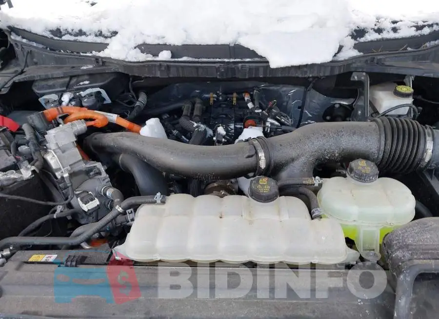 1FTFW5LD9RFA20245 Photo# 10