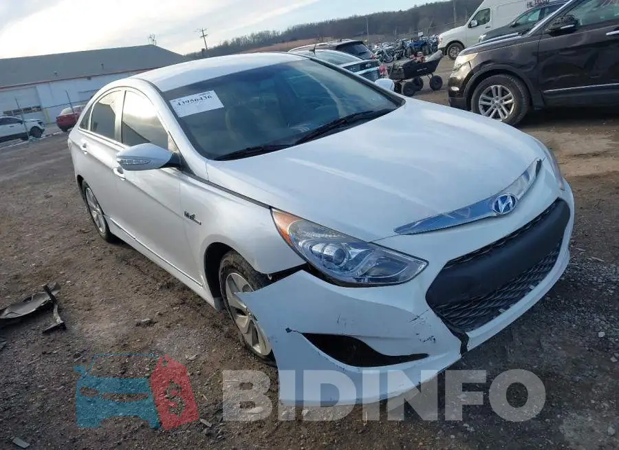 KMHEC4A42FA135646 Photo# 1