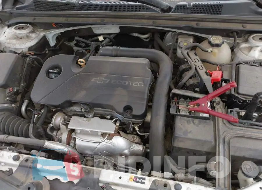 1G1ZD5ST4JF145291 Photo# 10
