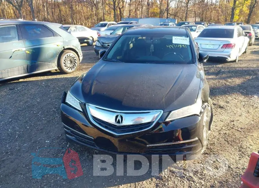 19UUB2F35FA016708 Photo# 12