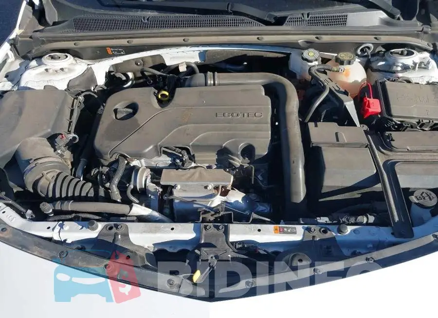 1G1ZD5ST5RF106589 Photo# 10