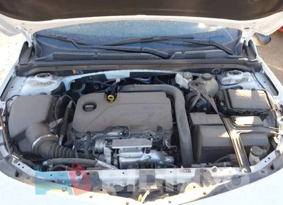 1G1ZD5ST5SF106713 Photo# 10