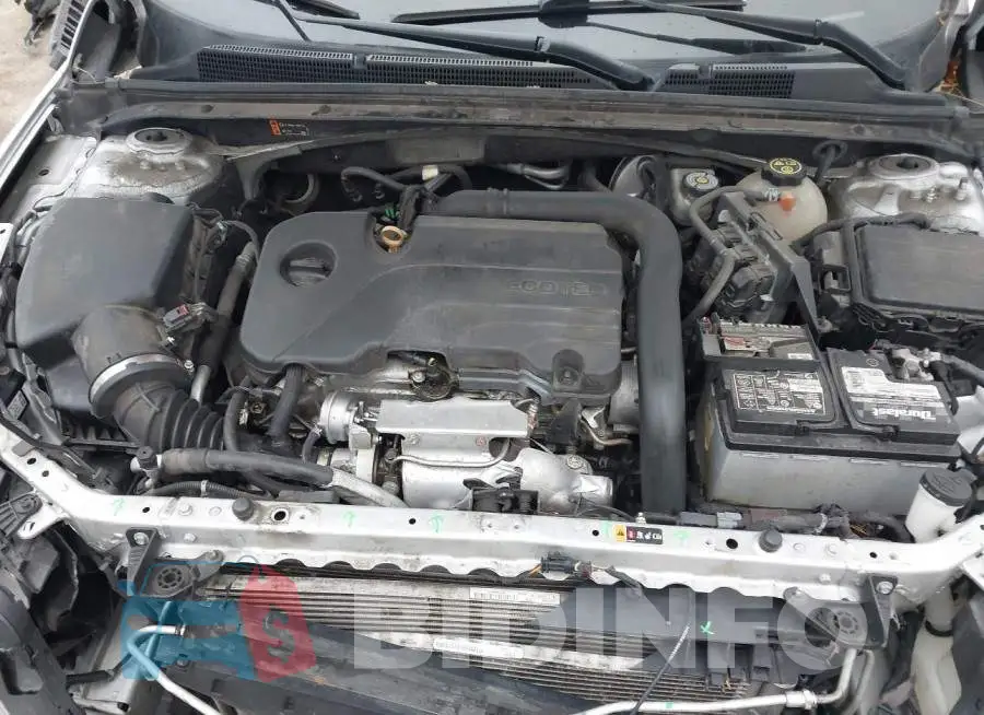 1G1ZD5ST0MF010121 Photo# 10
