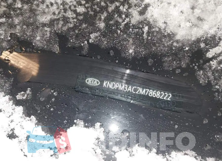 KNDPM3AC2M7868222 Photo# 9