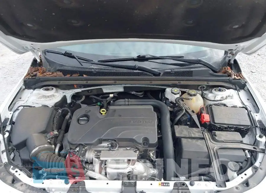 1G1ZD5ST7RF143126 Photo# 10