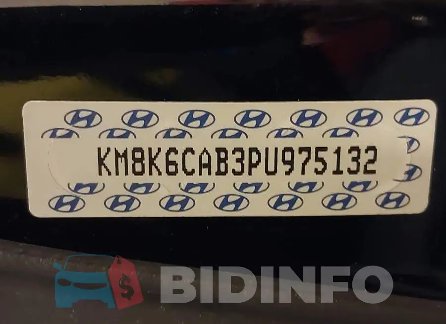 KM8K6CAB3PU975132 Photo# 9