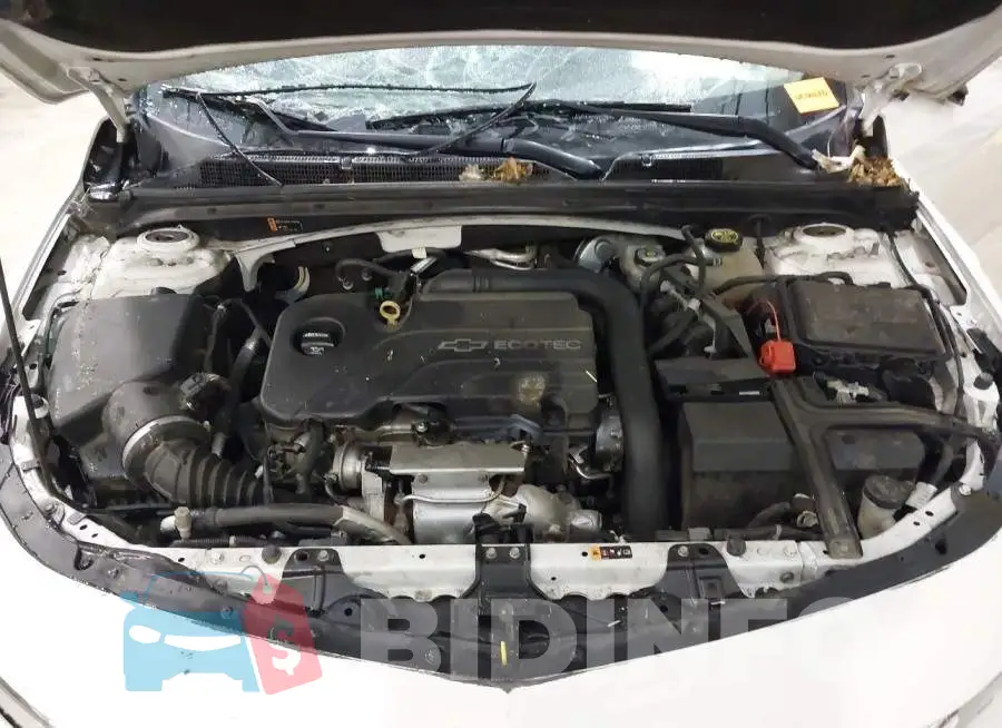 1G1ZD5ST7JF122328 Photo# 10