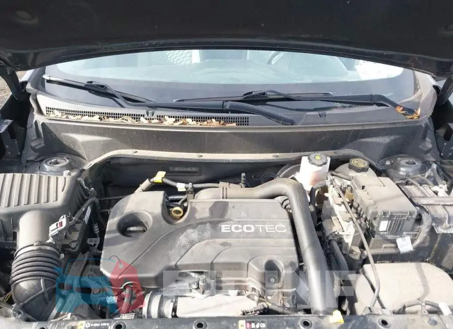 2GNAX5EV4L6261393 Photo# 10