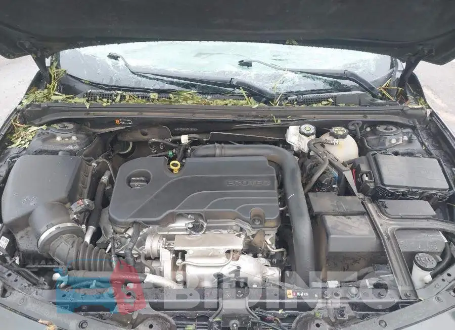 1G1ZD5STXPF180183 Photo# 10