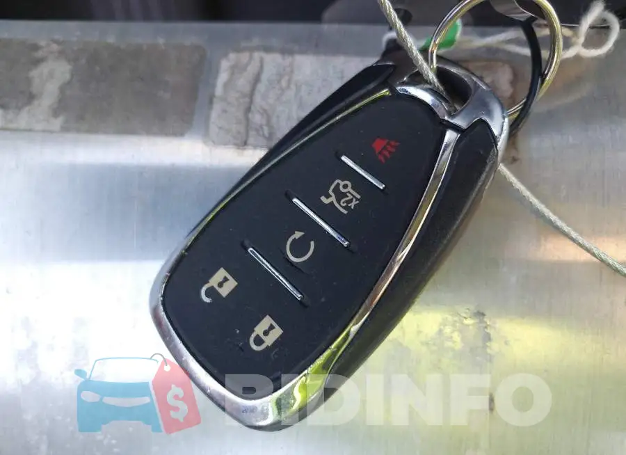 1G1ZD5ST1RF153280 Photo# 11