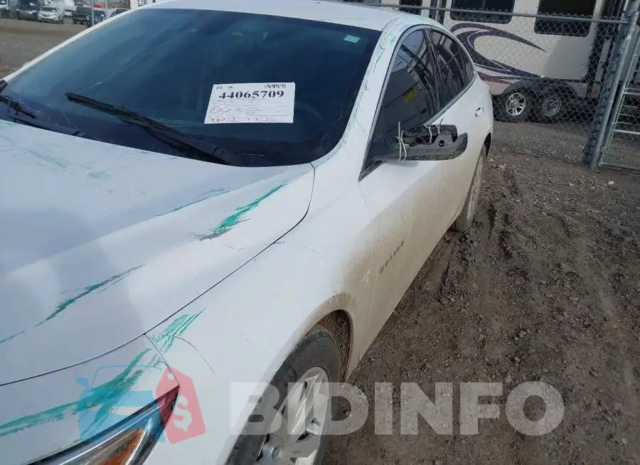 1G1ZD5ST8RF172876 Photo# 18