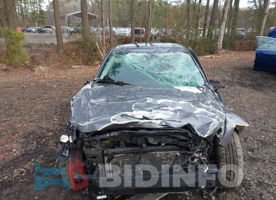 JN1EV7BP3MM703202 Photo# 6